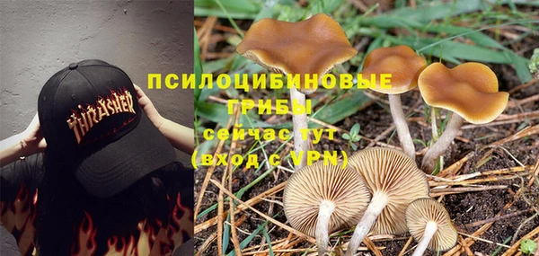 МДПВ Сафоново
