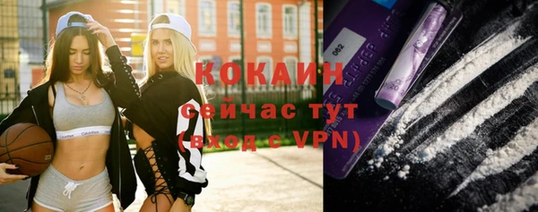 МДПВ Сафоново